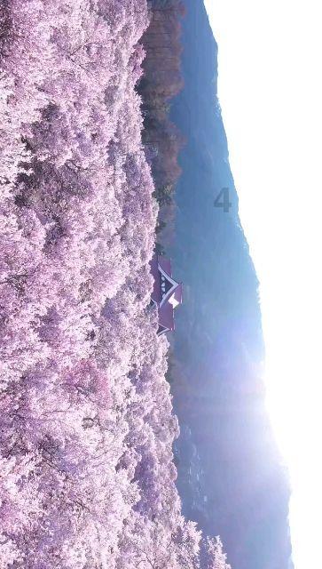 天下X天下