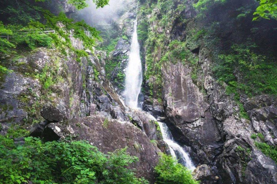 霞浦最新一期：酒驾曝光