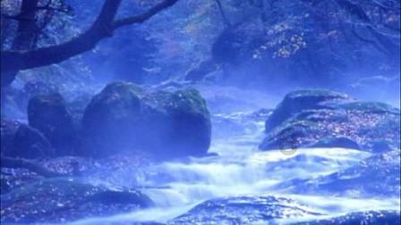 宜宾翠屏:茶园冬季管护忙 茶企新发展激发产业新动能